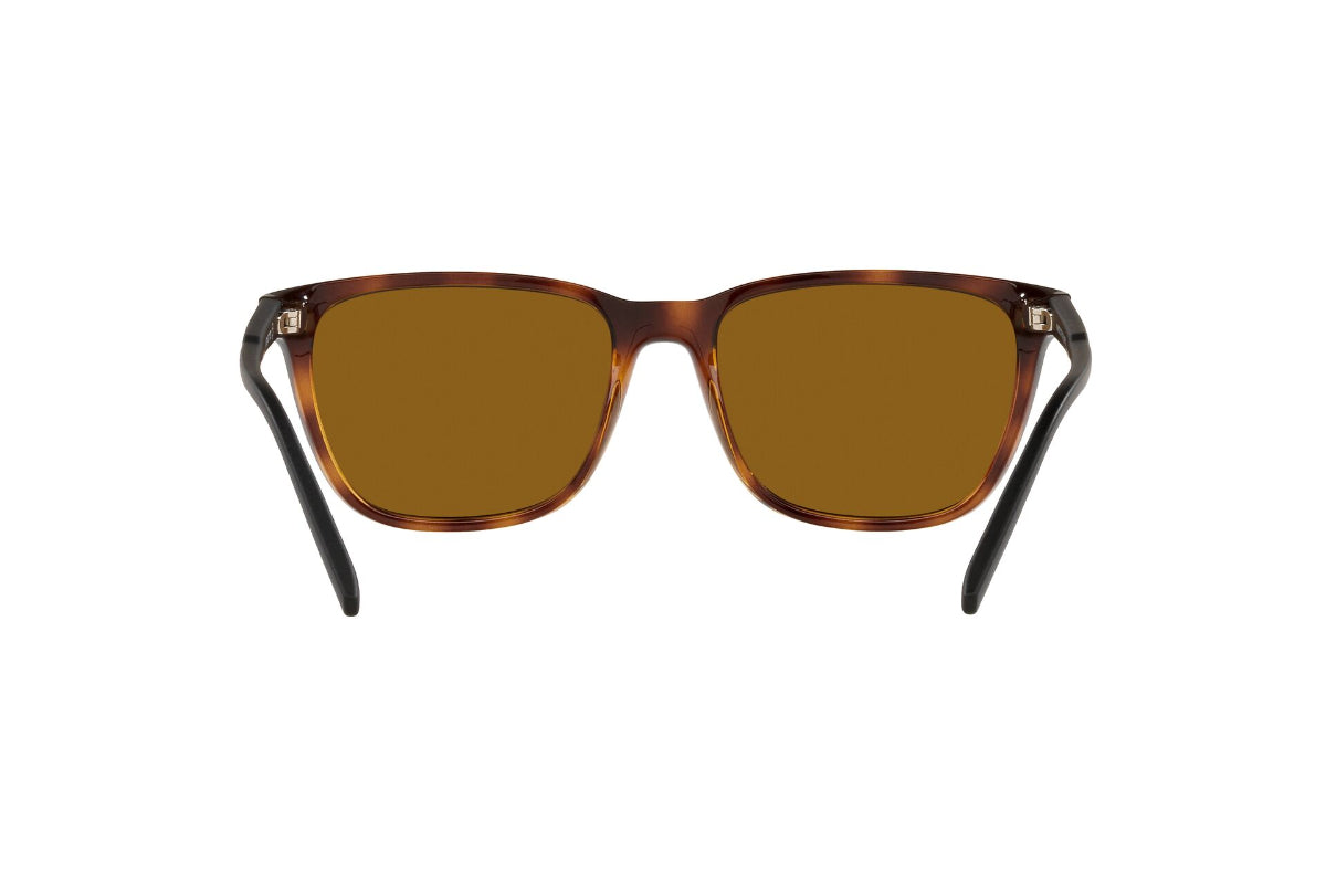 Lentes de Sol Cortex Dark Avana Polarizados Arnette Sustentable