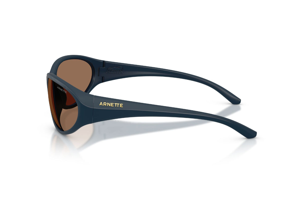 Arnette Lentes de Sol Raven AN4368