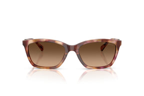 Emporio Armani Lentes de Sol Degradados EA4238