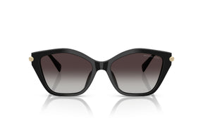 Michael Kors Lentes de Sol Catskills Degradados MK2246U