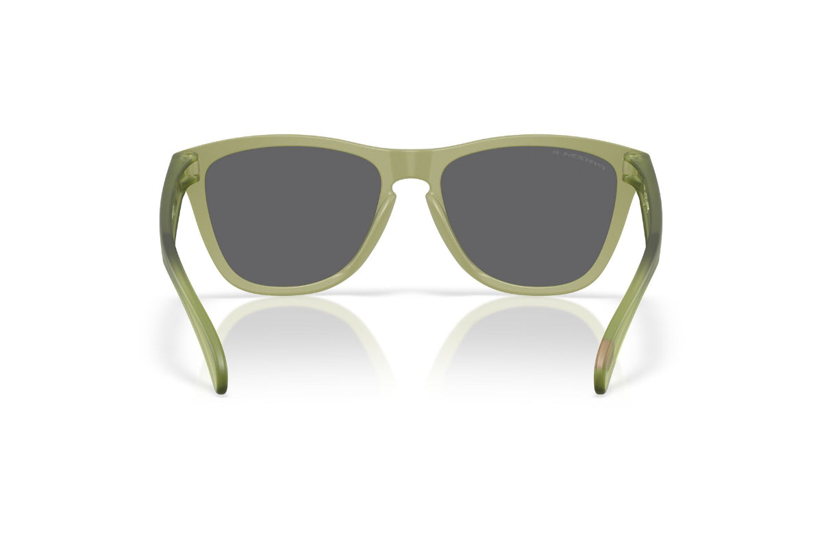 Oakley Lentes de Sol Frogskins Polarizados OO9013