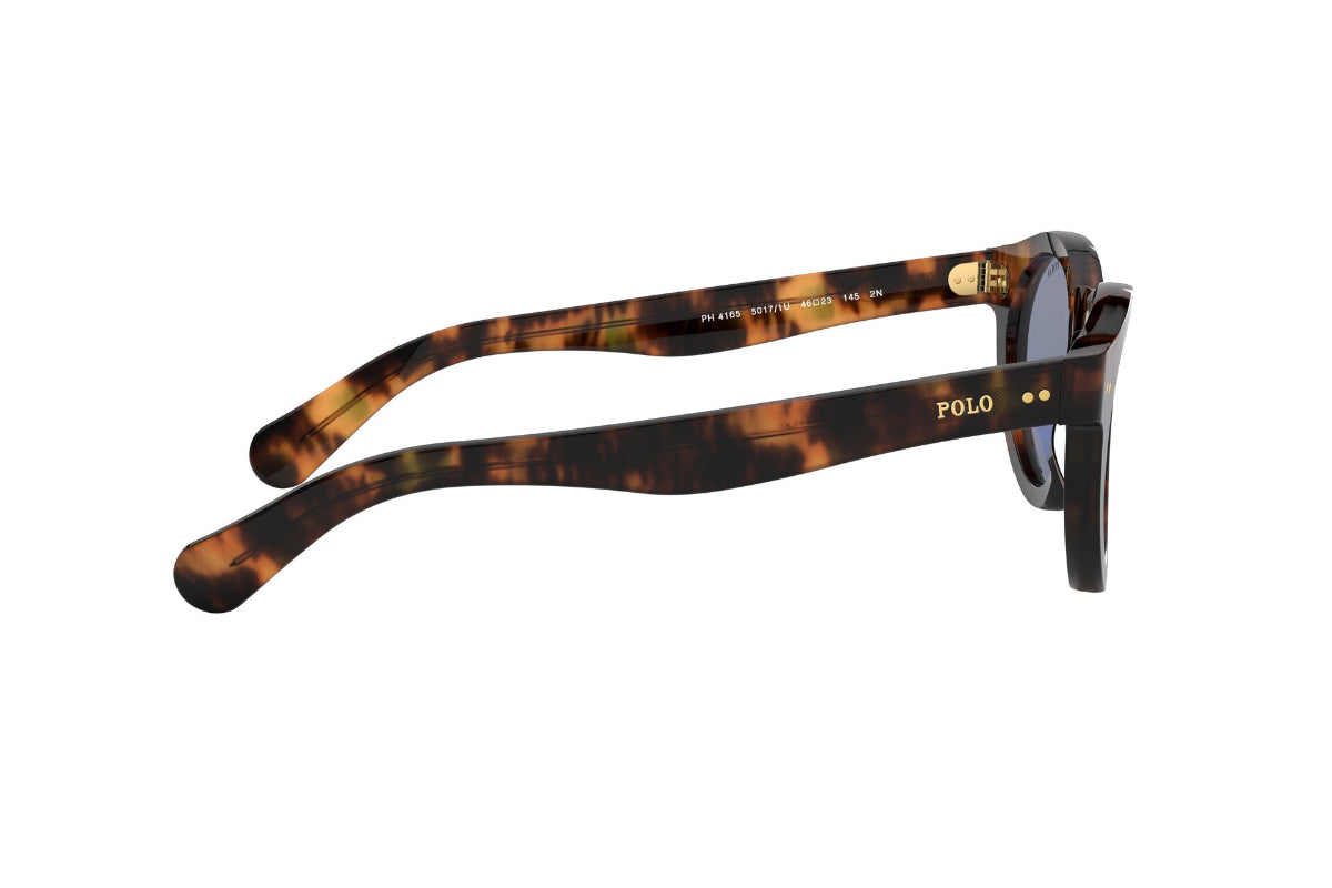 Polo Lentes de Sol PH4165