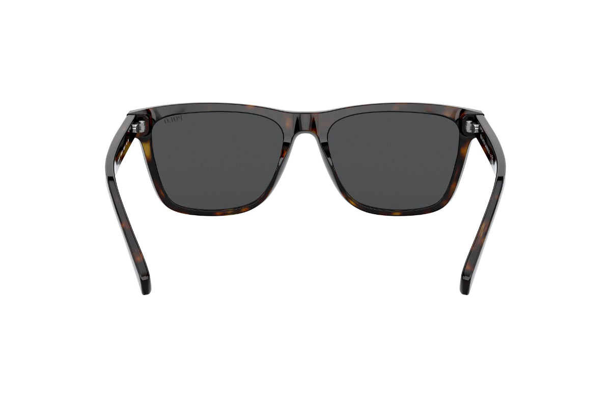 Lentes de Sol Shiny Dark Havana  Polo