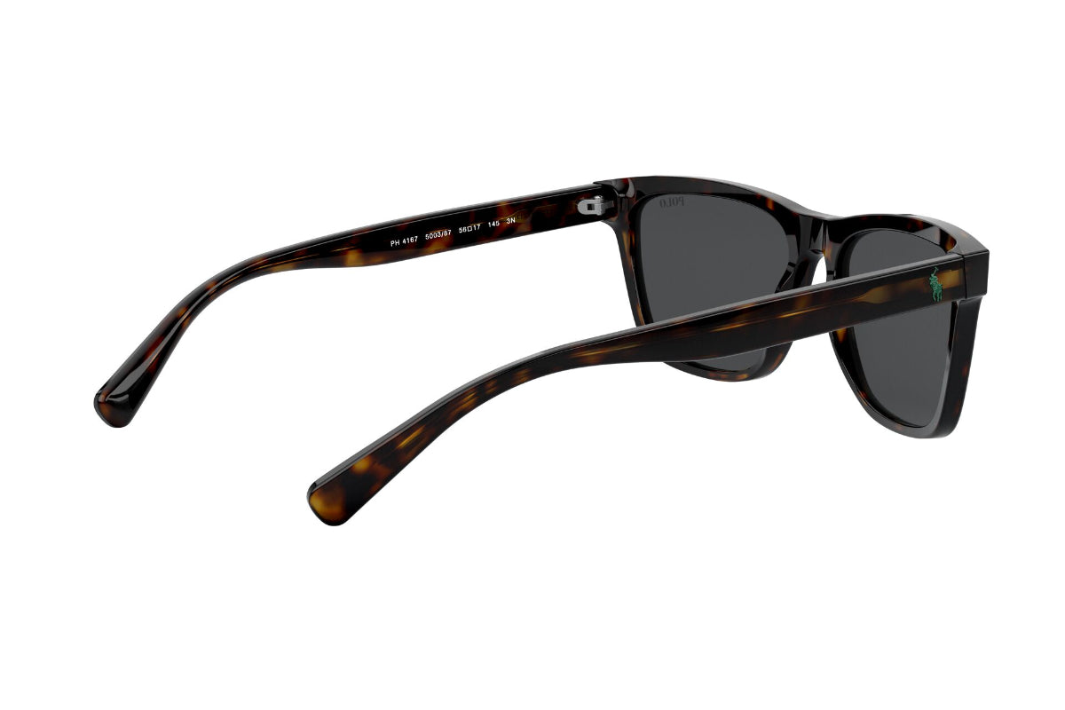Lentes de Sol Shiny Dark Havana  Polo