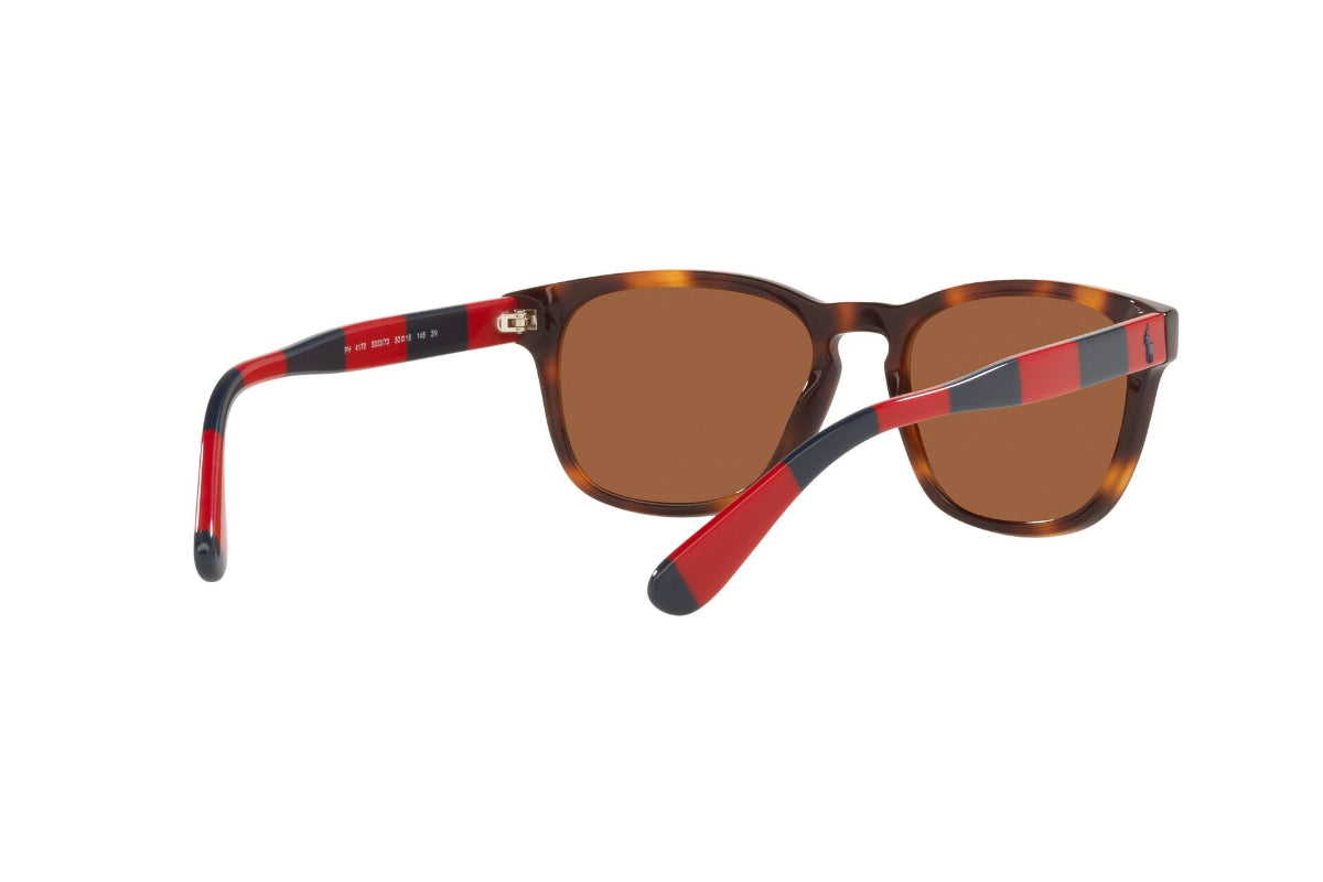 Lentes de Sol Shiny Tortoise Polo Ralph Lauren