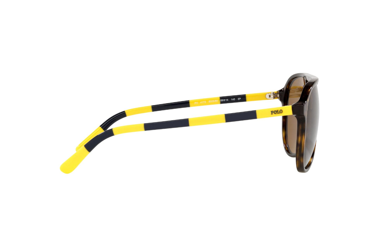 Lentes de Sol Shiny Dark Havana Polarizados Polo