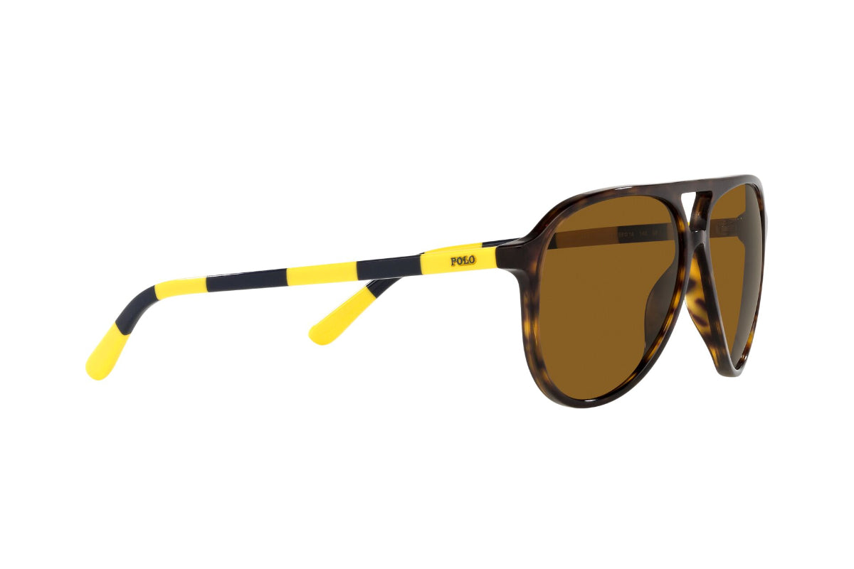 Lentes de Sol Shiny Dark Havana Polarizados Polo