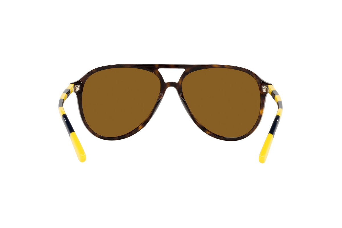 Lentes de Sol Shiny Dark Havana Polarizados Polo