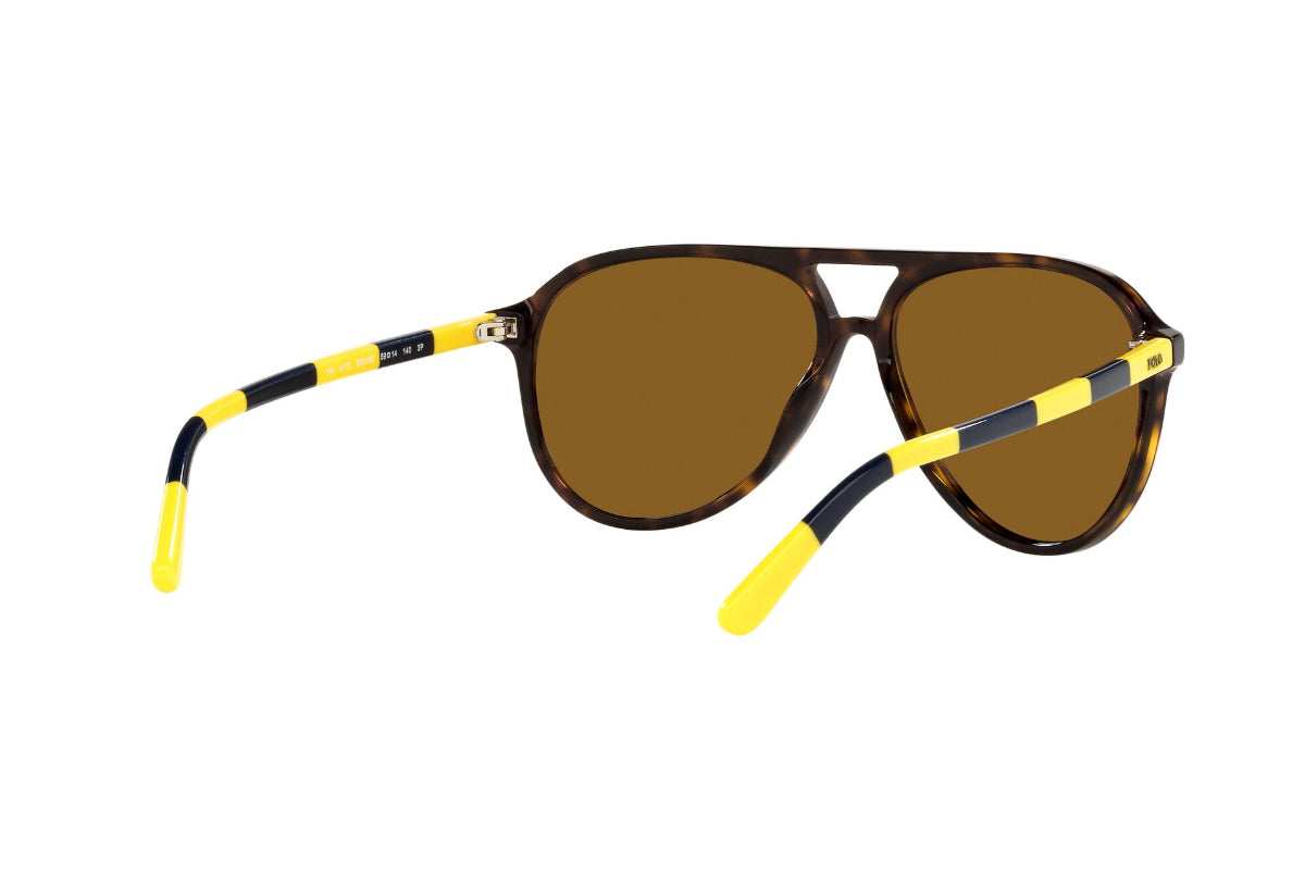 Lentes de Sol Shiny Dark Havana Polarizados Polo