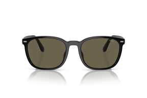 Ralph Lentes de Sol PH4208U