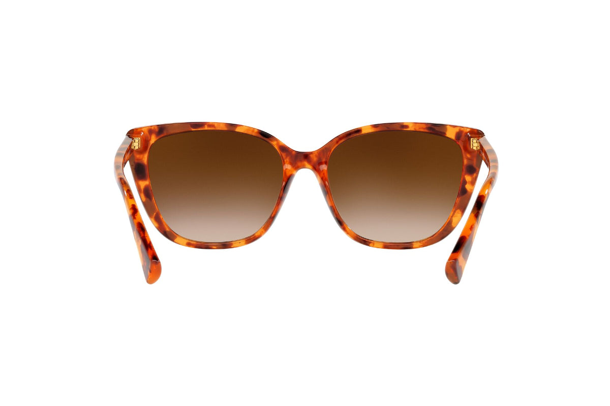 Lentes de Sol Shiny Sponged Havana Brown  Ralph