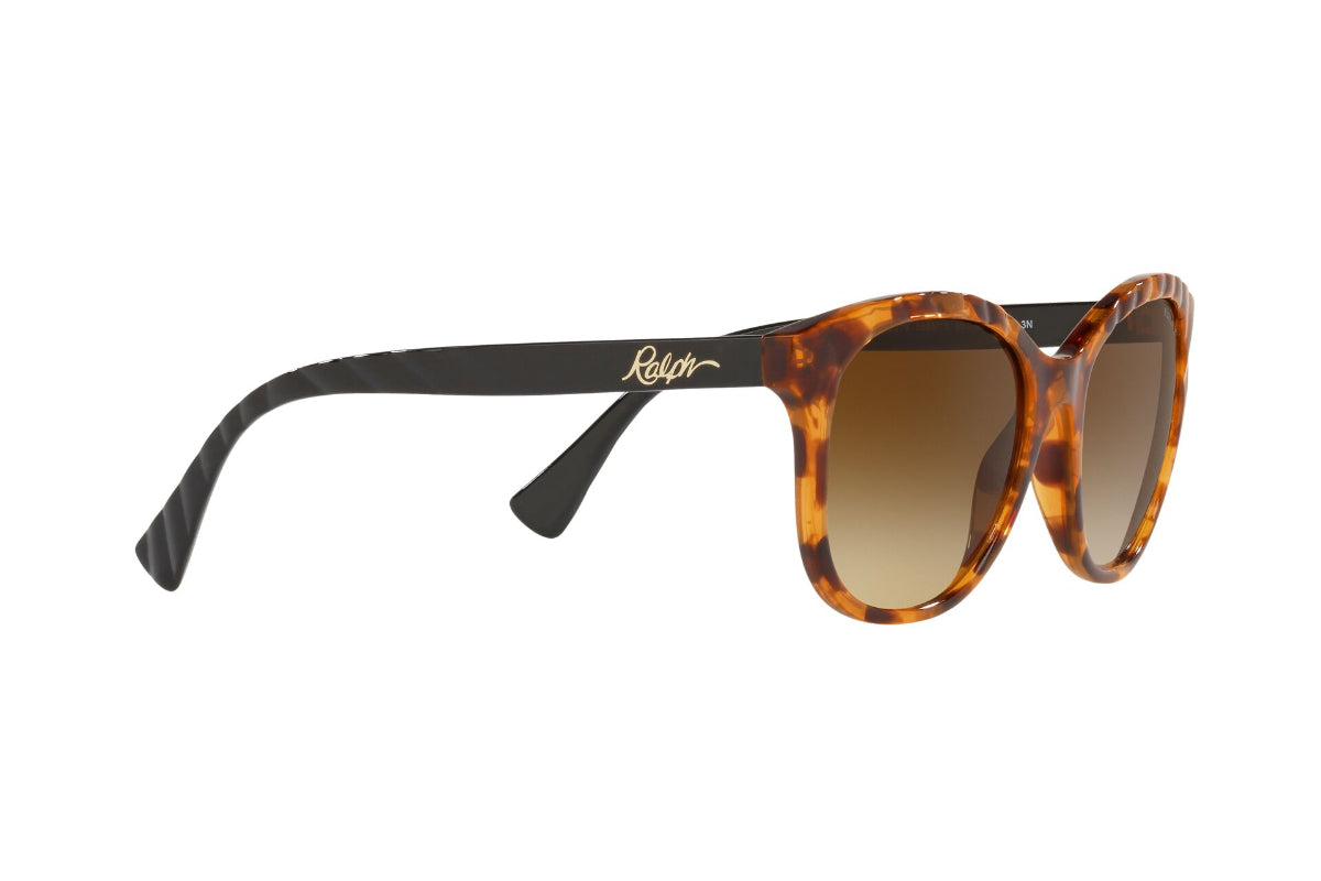 Lentes de Sol Shiny Sponged Havana Ralph