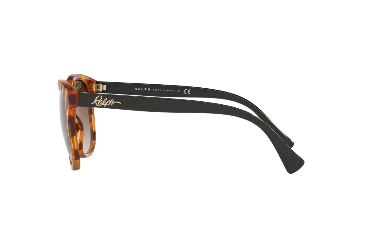 Lentes de Sol Shiny Sponged Havana Ralph