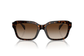 Ralph Lentes de Sol Degradados RA5312U
