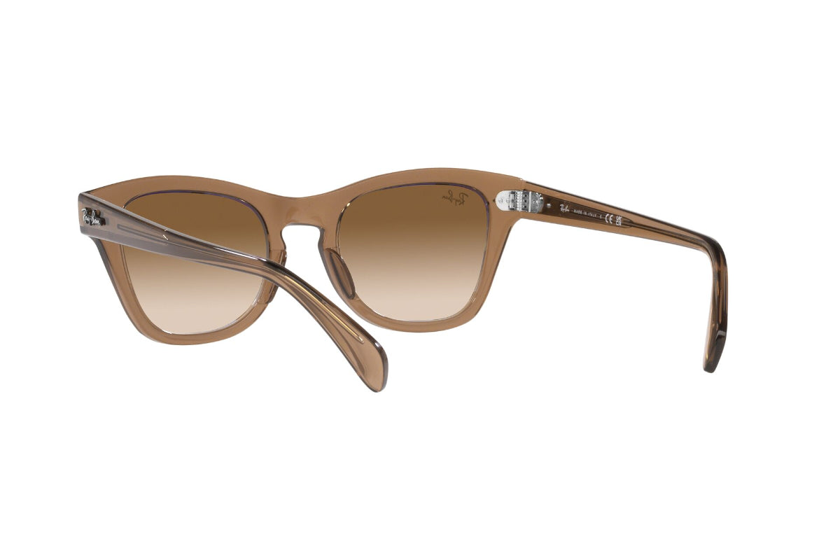 Ray-Ban Lentes de Sol RB0707S