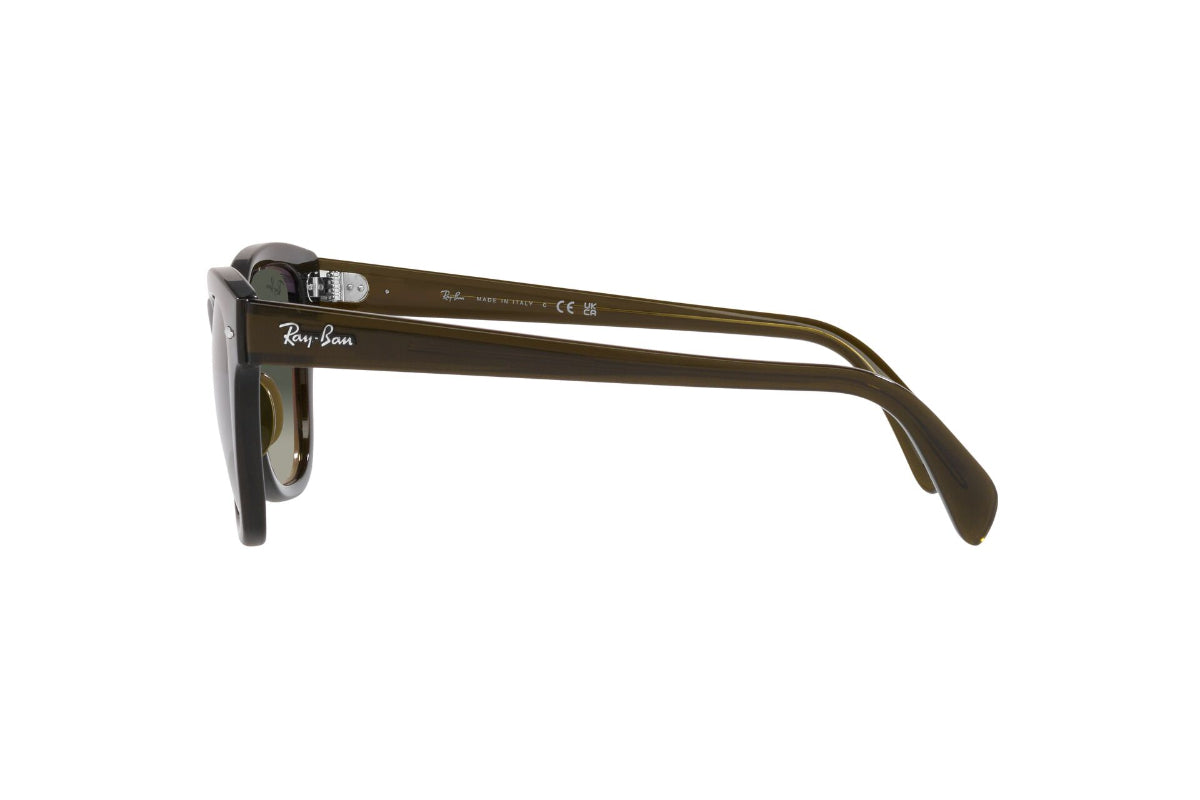 Ray-Ban Lentes de Sol RB0707S