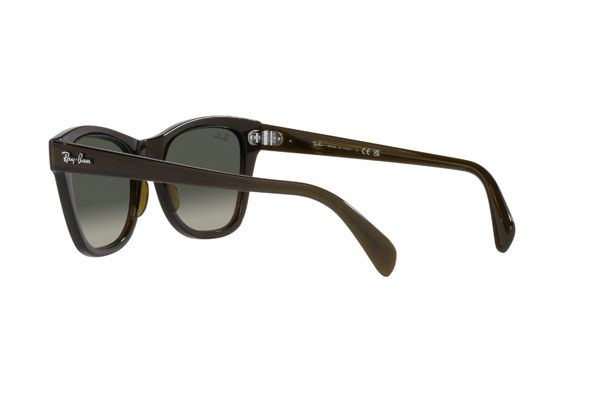 Ray-Ban Lentes de Sol RB0707S