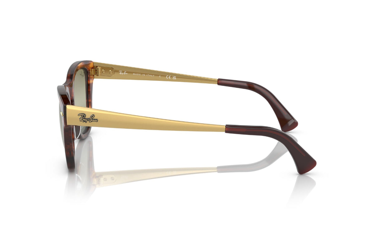 Ray-Ban Lentes de Sol RB0707S