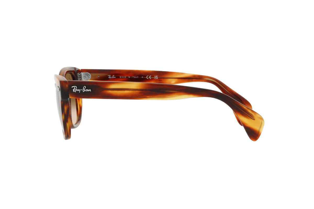 Ray-Ban Lentes de Sol RB0880S