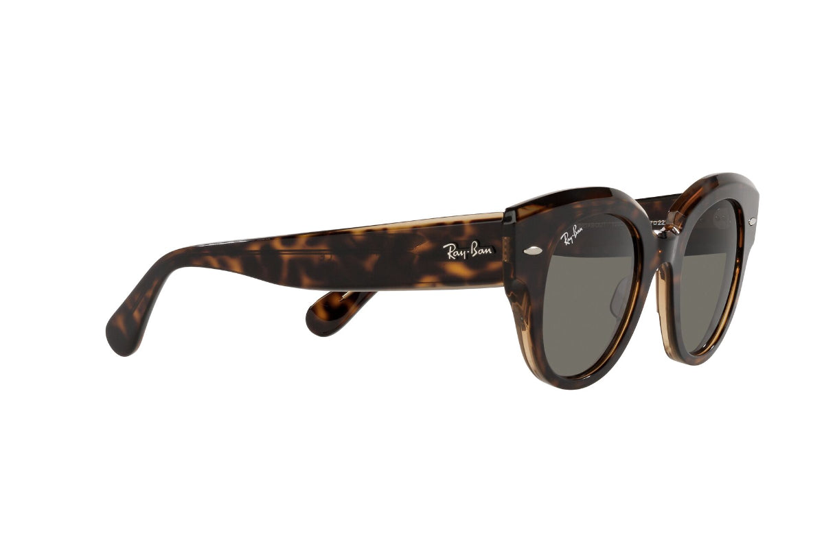 Lentes de Sol Roundabout Havana On Brown Ray Ban