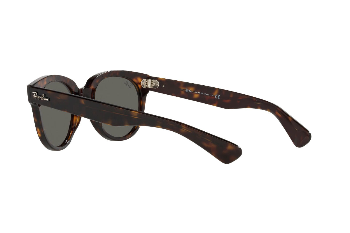 Lentes de Sol Orion Tortoise Ray Ban