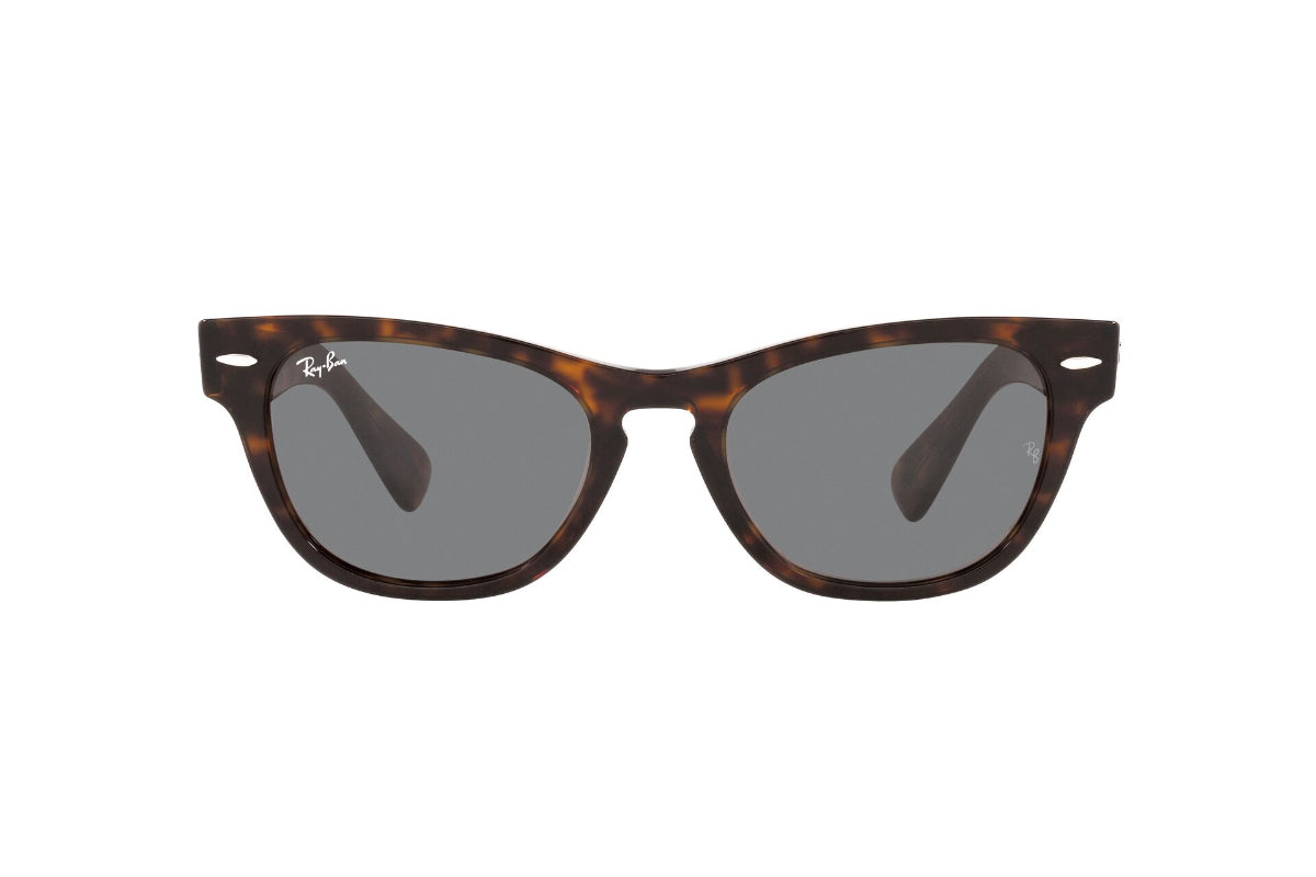 Lentes de Sol Laramie Tortoise Ray Ban