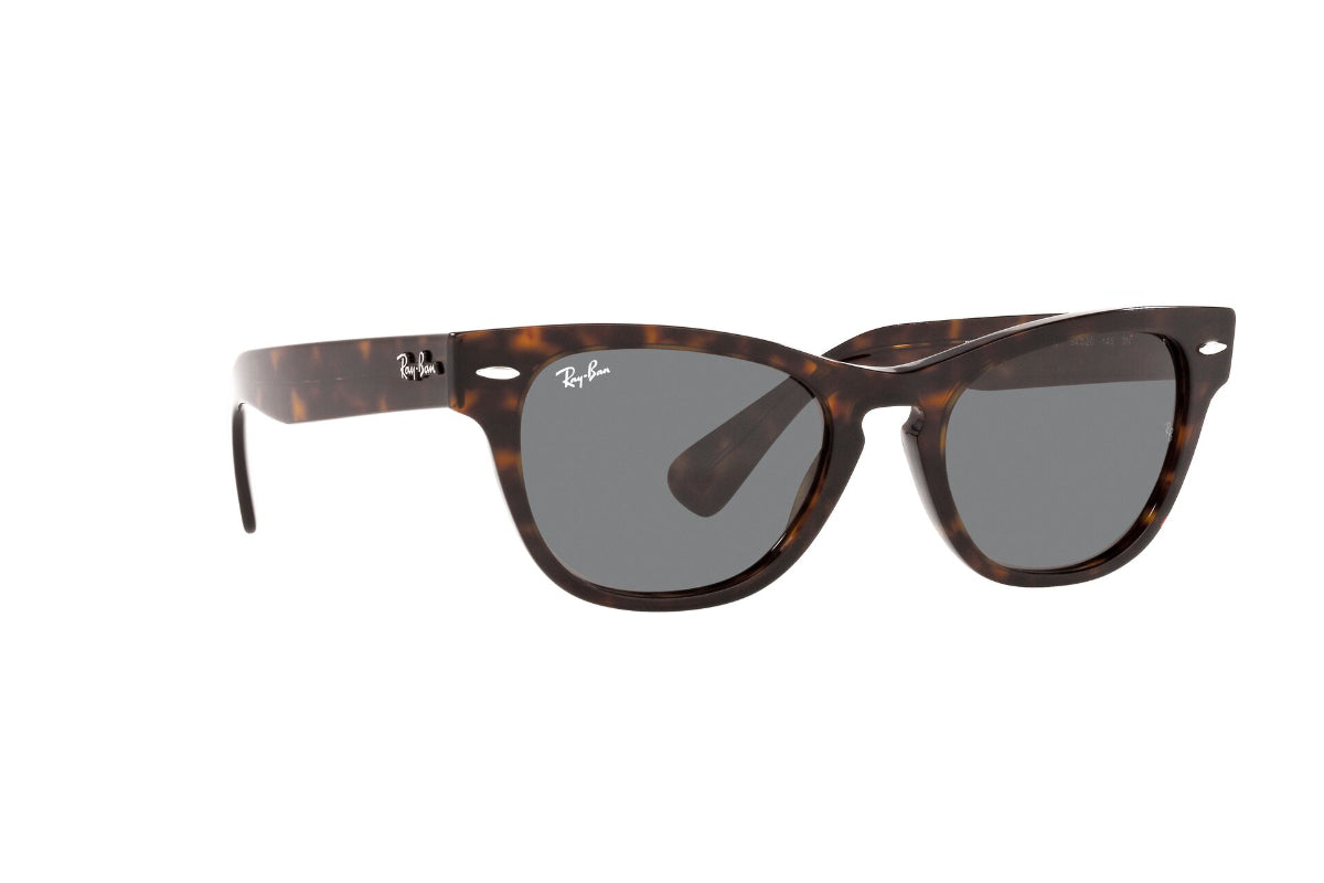 Lentes de Sol Laramie Tortoise Ray Ban