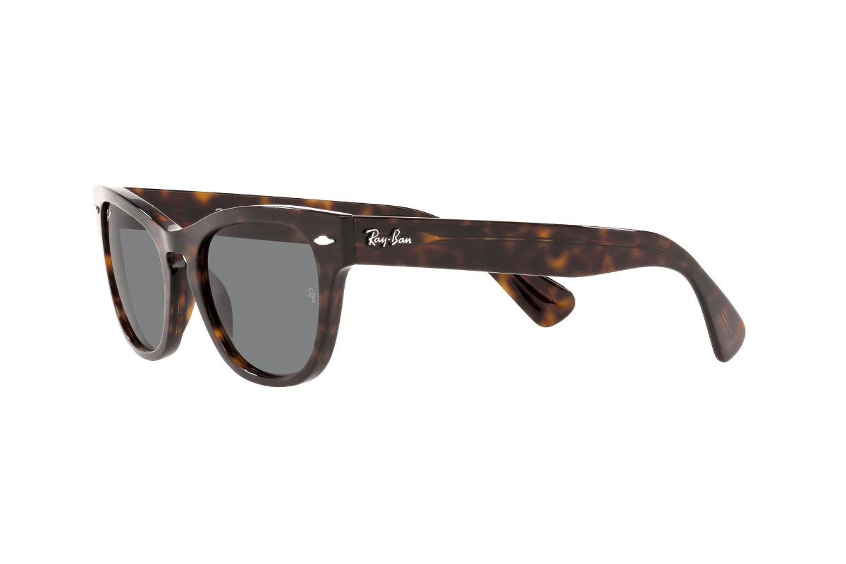 Lentes de Sol Laramie Tortoise Ray Ban
