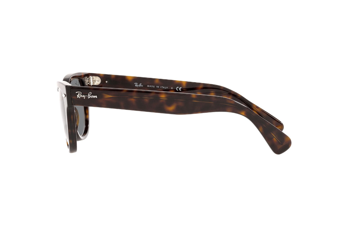 Lentes de Sol Laramie Tortoise Ray Ban
