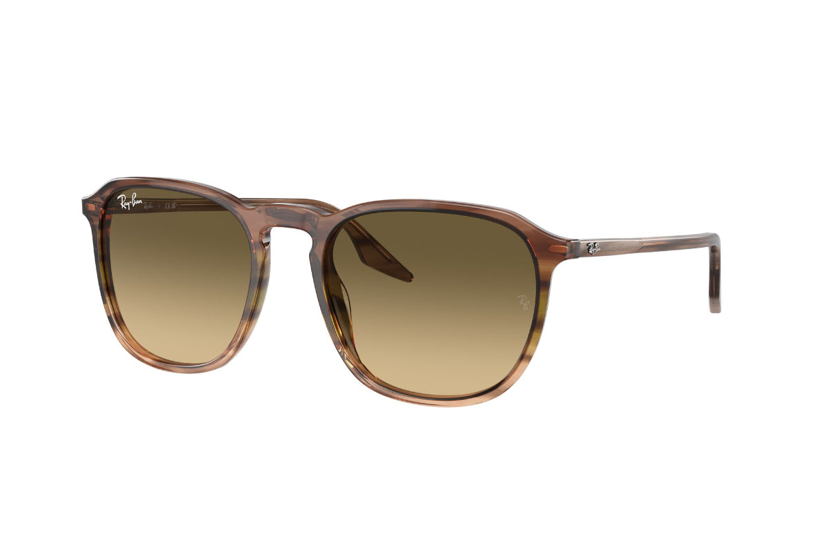 Ray-Ban Lentes de Sol Degradados RB2203