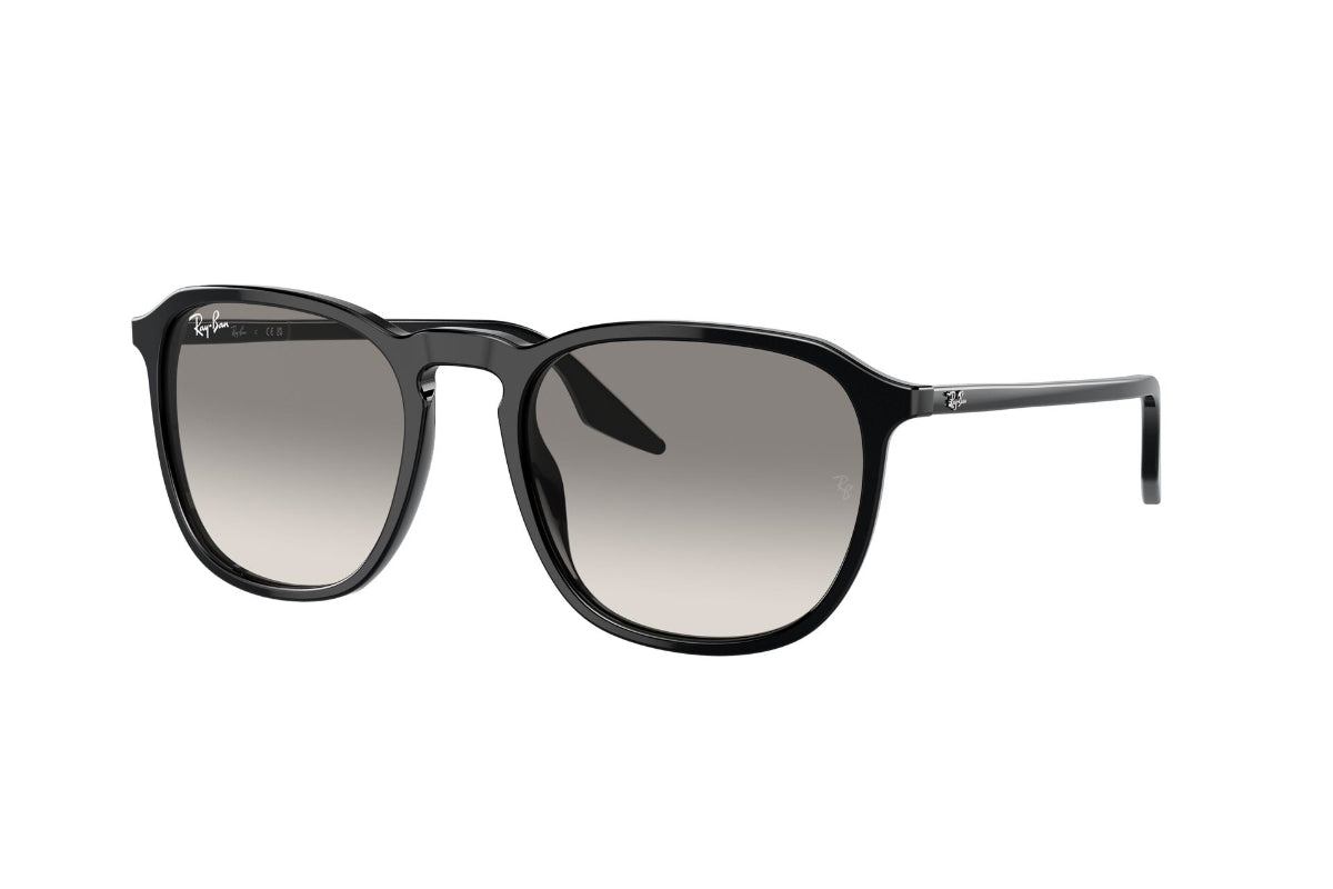 Ray-Ban Lentes de Sol RB2203