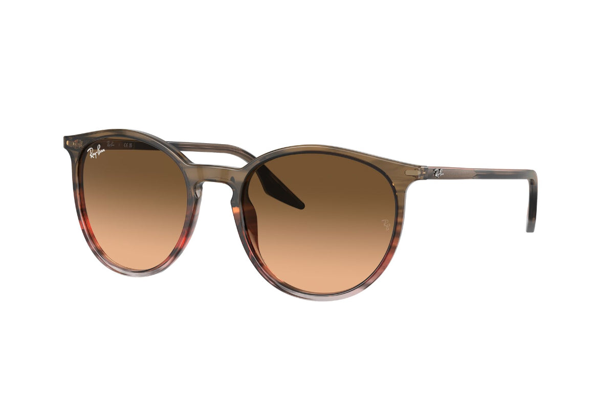 Ray-Ban Lentes de Sol Degradados RB2204