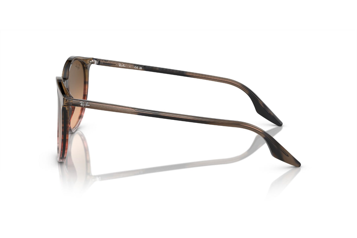 Ray-Ban Lentes de Sol Degradados RB2204