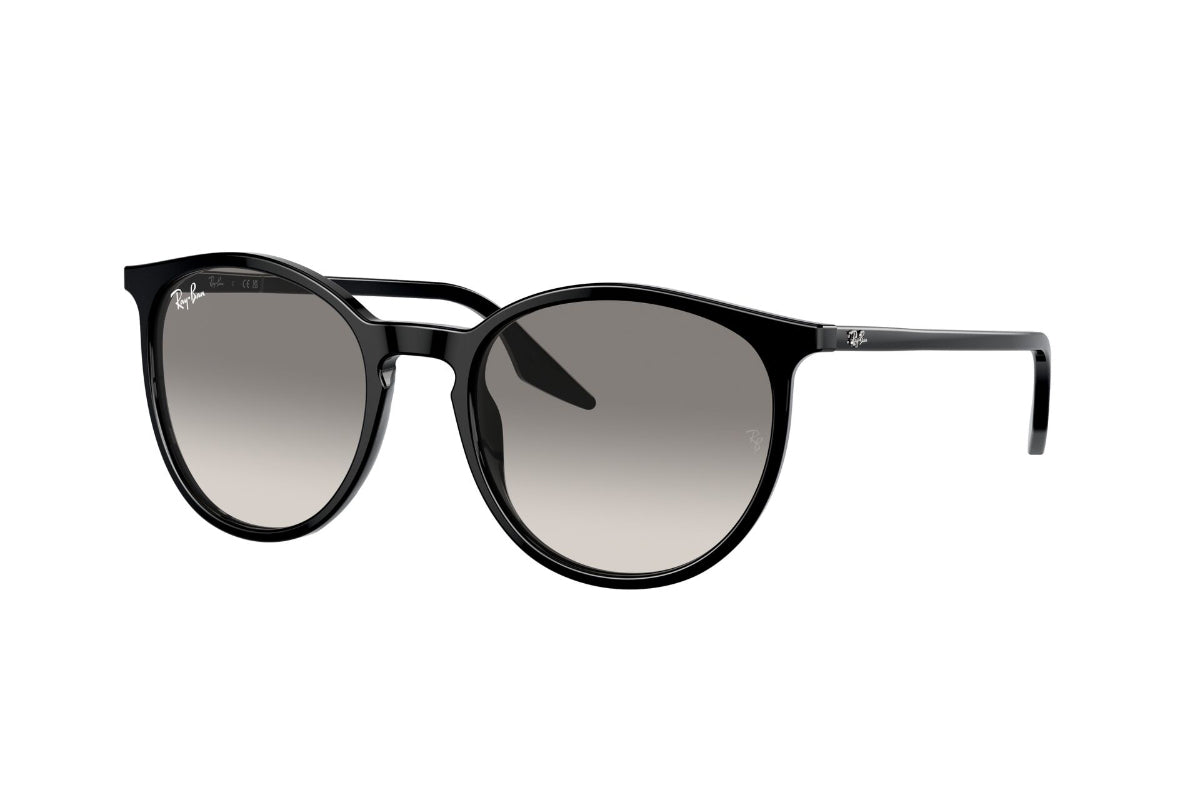 Ray-Ban Lentes de Sol RB2204