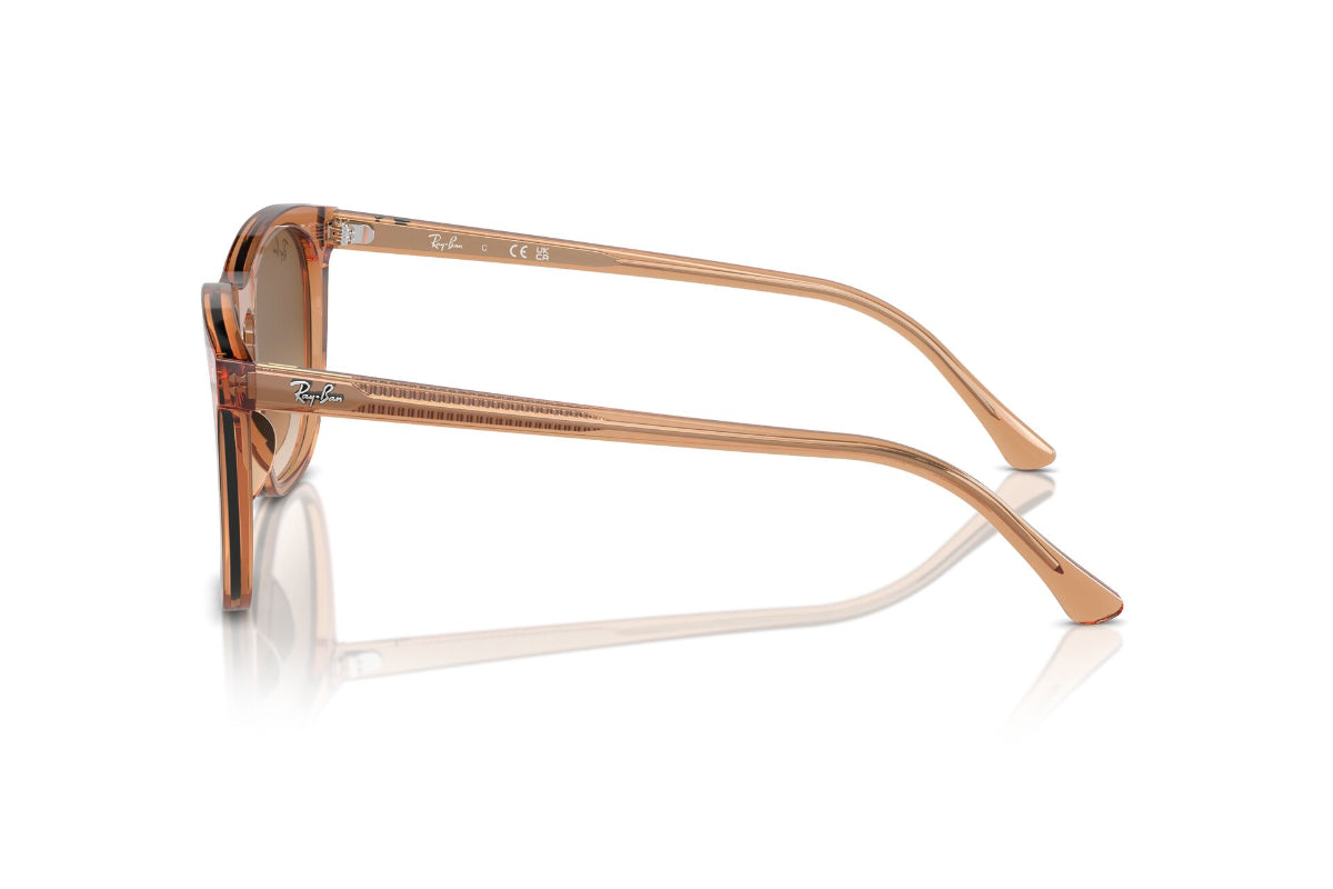 Ray-Ban Lentes de Sol Degradados RB2210