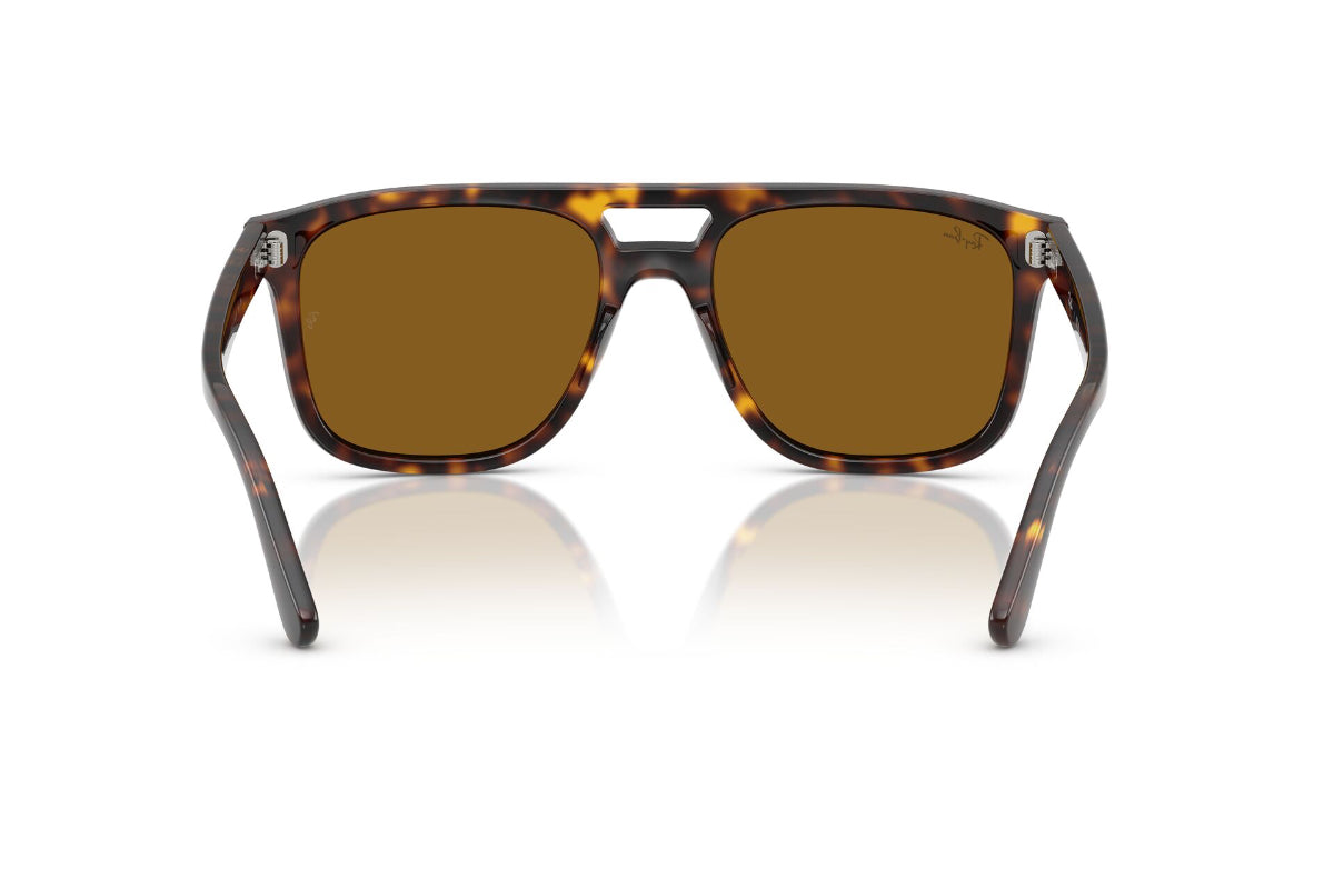 Ray-Ban Lentes de Sol RB2213