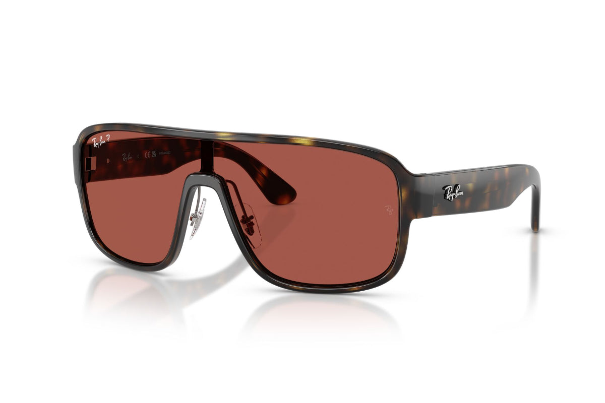 Ray-Ban Lentes de Sol Polarizados Antireflejos RB2229