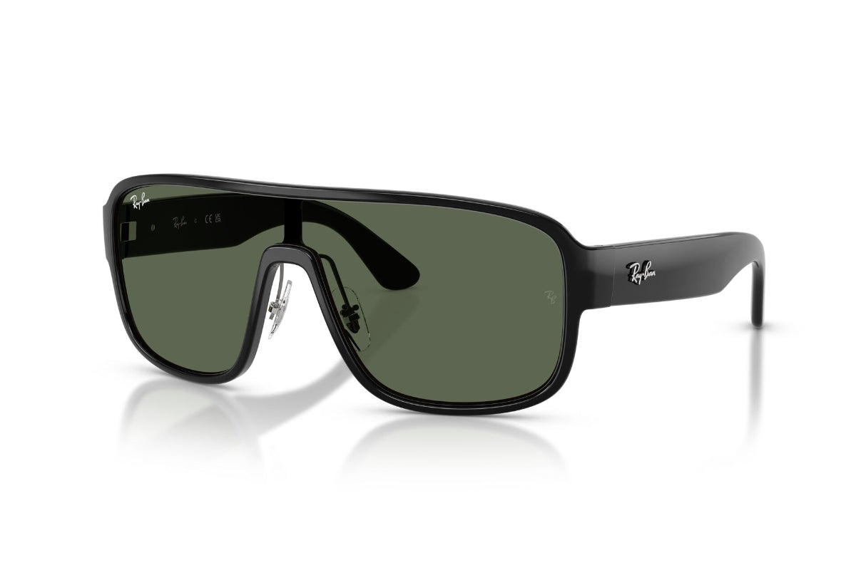 Ray-Ban Lentes de Sol RB2229