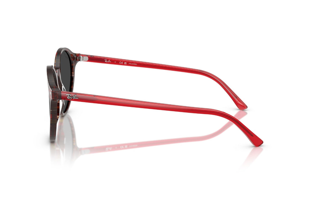 Ray-Ban Lentes de Sol Bernard Polarizados RB2230