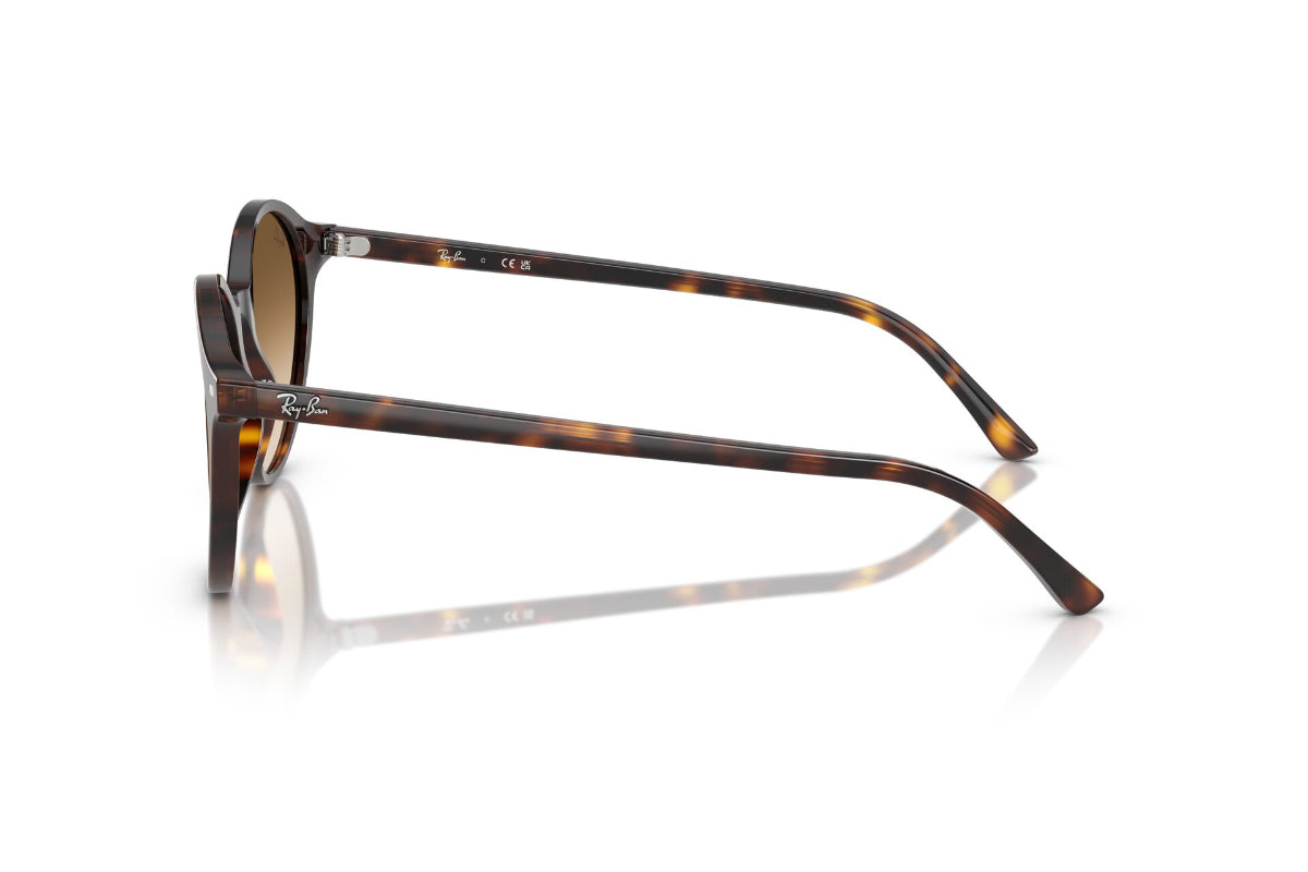Ray-Ban Lentes de Sol Bernard Degradados RB2230