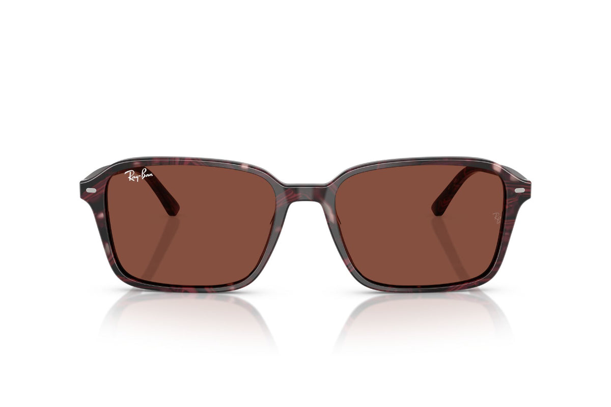 Ray-Ban Lentes de Sol Raimond RB2231