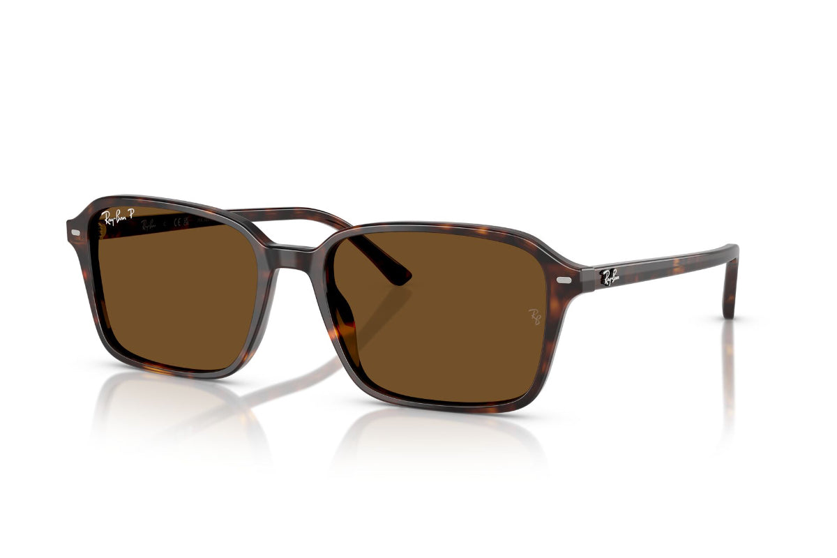 Ray-Ban Lentes de Sol Raimond Polarizados RB2231