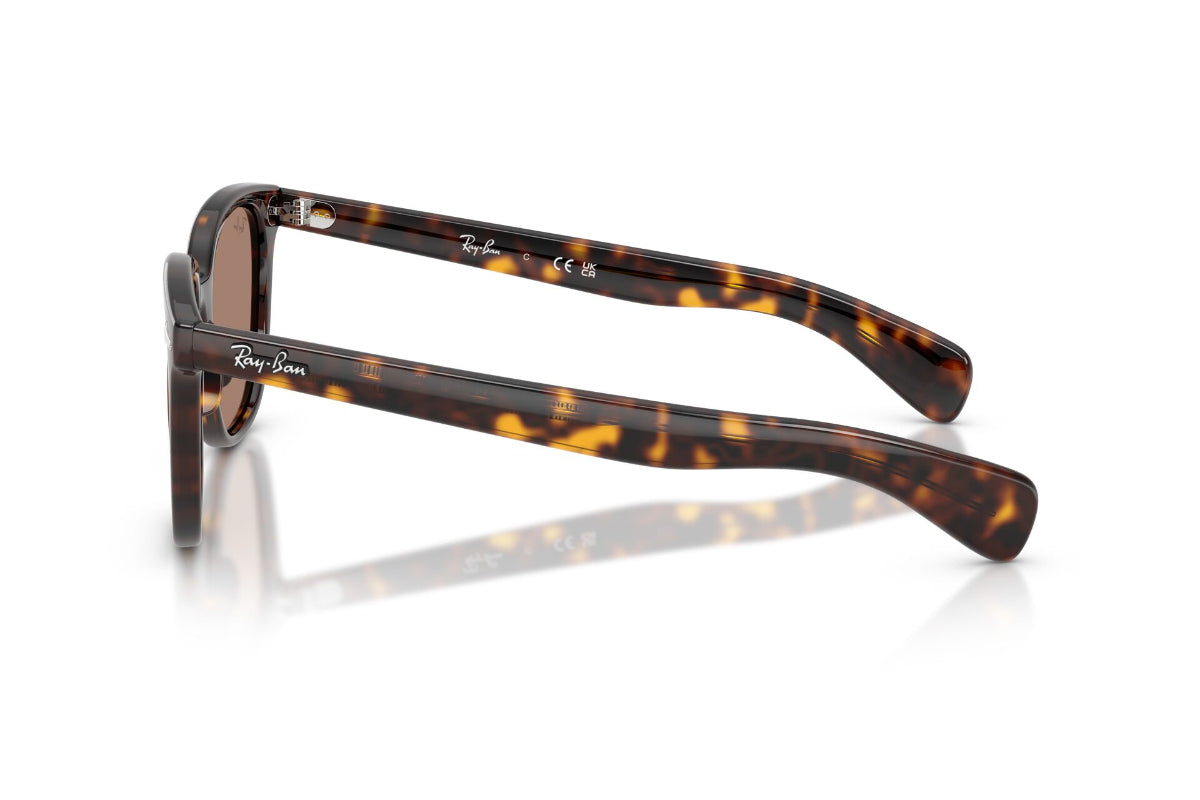 Ray-Ban Lentes de Sol Brunel Ii Antireflejos RB2235