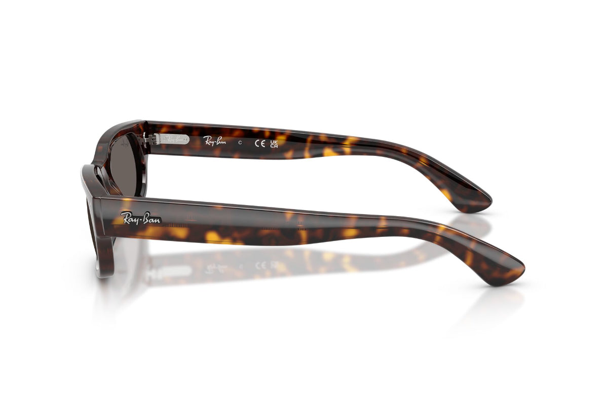 Ray-Ban Lentes de Sol RB2236