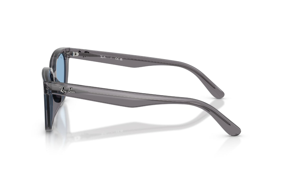 Ray-Ban Lentes de Sol RB2243D