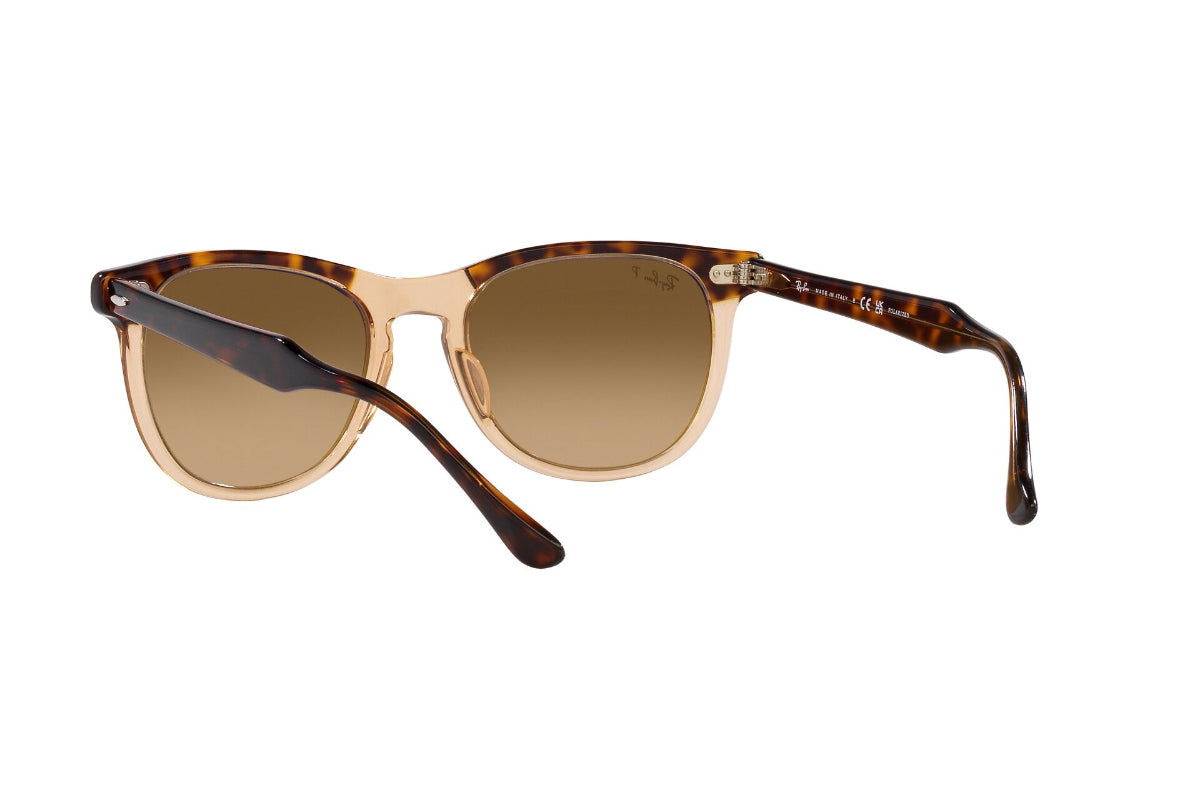 Ray-Ban Lentes de Sol Eagleeye Polarizados RB2398