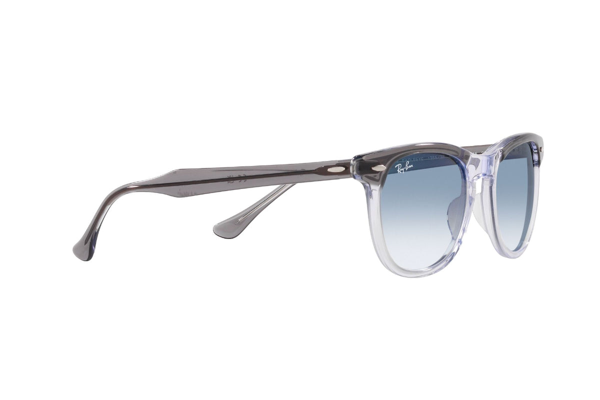 Ray-Ban Lentes de Sol Eagleeye RB2398