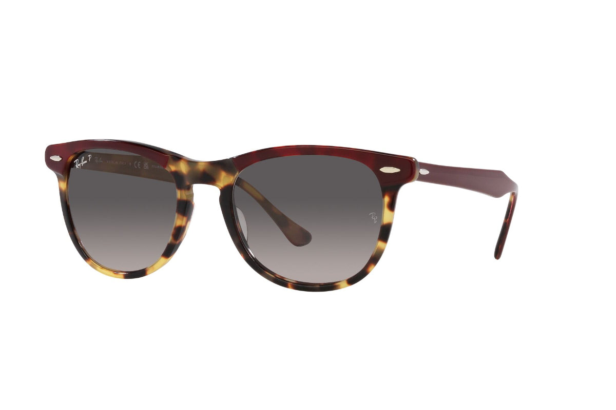 Ray-Ban Lentes de Sol Eagleeye Polarizados RB2398