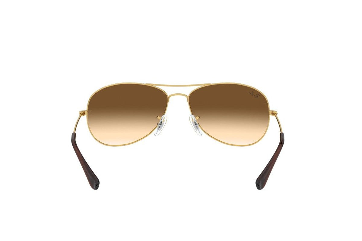 Ray-Ban Cockpit