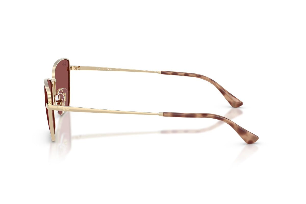 Ray-Ban Lentes de Sol RB3783